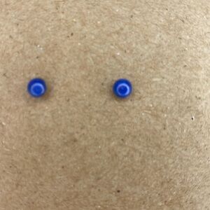The Rooted Seeds Stud Earrings Blue NWOT